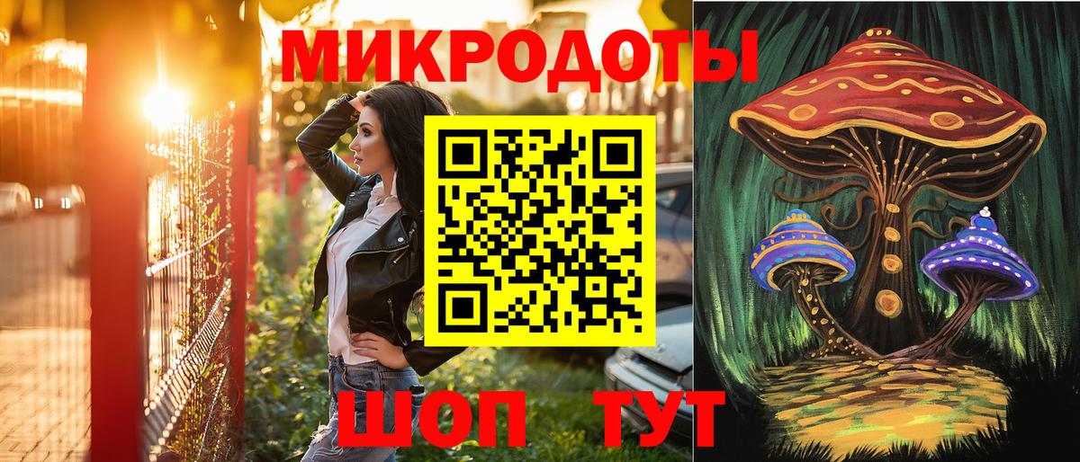 Псилоцибиновые грибы Cubensis Камышин