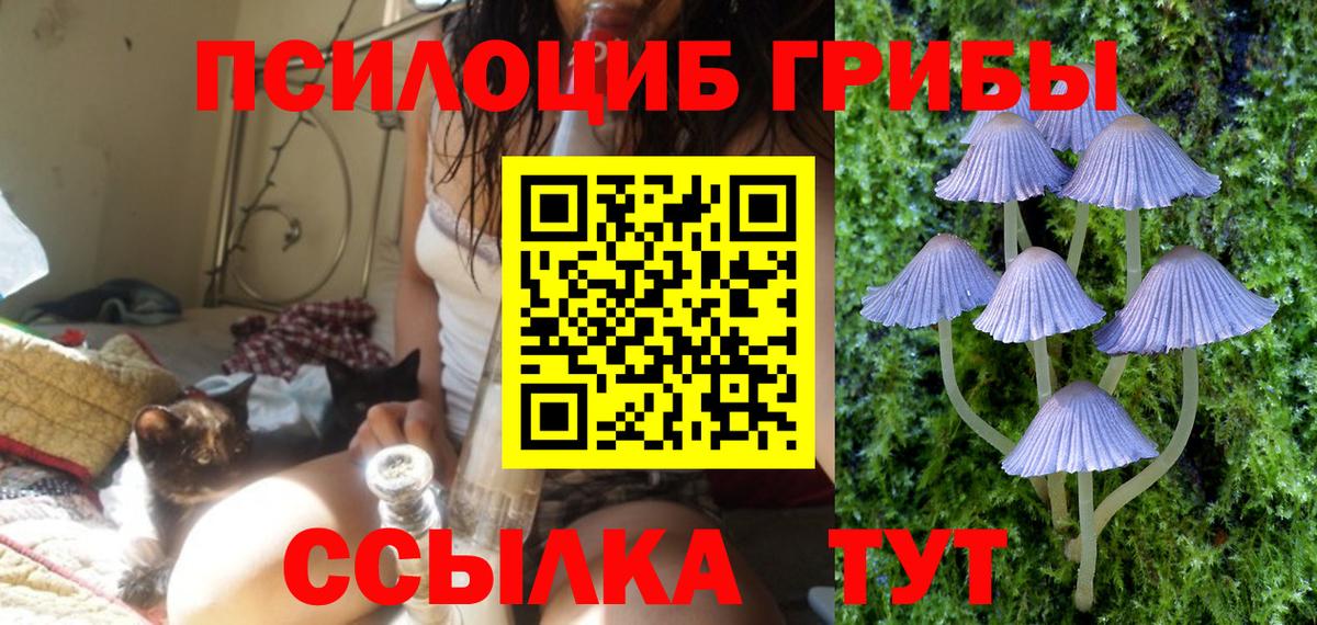 Псилоцибиновые грибы мухоморы  Галлюциногенные грибы прущие грибы  Камышин  Вход с VPN 