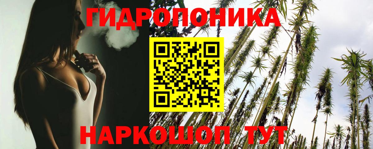 Бошки марихуана THC 21%  Марихуана конопля  Вход с VPN  Канабис план  Шишки марихуана тримм  Камышин 